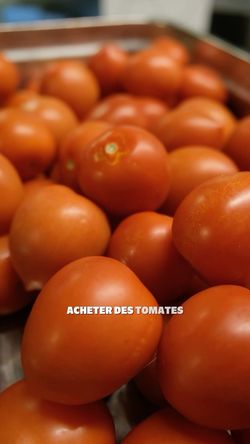 Tomates fraîches entassées dans un bac, en attente d'être utilisées au Bioburger Le Marais