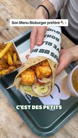 Wrap garni de tofu, légumes et sauce, accompagné de frites, parfait pour les amateurs de cuisine bio et végétarienne.