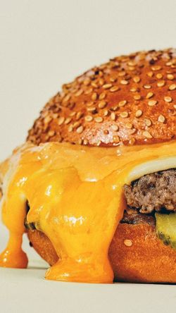 Burger bio avec cheddar fondu, steak haché et cornichons, dans un pain au sésame légèrement grillé.