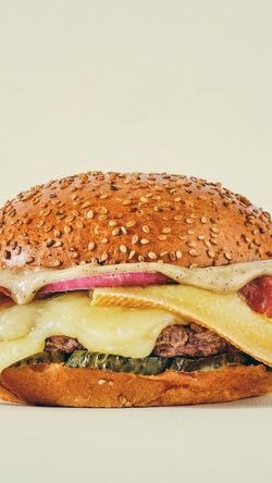 Burger bio avec fromage fondu, oignons rouges et cornichons dans un pain aux graines de sésame.