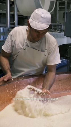 Préparation artisanale de fromage avec un producteur, mettant en valeur l'authenticité du savoir-faire.