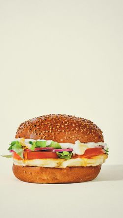Burger bio avec pain aux graines, tomate, laitue, œuf et sauce blanche, présenté sur fond neutre.