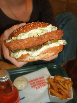 Savoureuse burger bio avec pain sésame, laitue, cornichons, mayonnaise et frites maison en accompagnement.