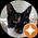 Photo de profil de Shirley