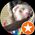 Photo de profil de Segolene Attard