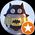 Photo de profil de Hoshi7k