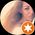 Photo de profil de Julia Gradstein