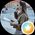 Photo de profil de Solène Mz