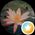 Photo de profil de Catherine Lempereur