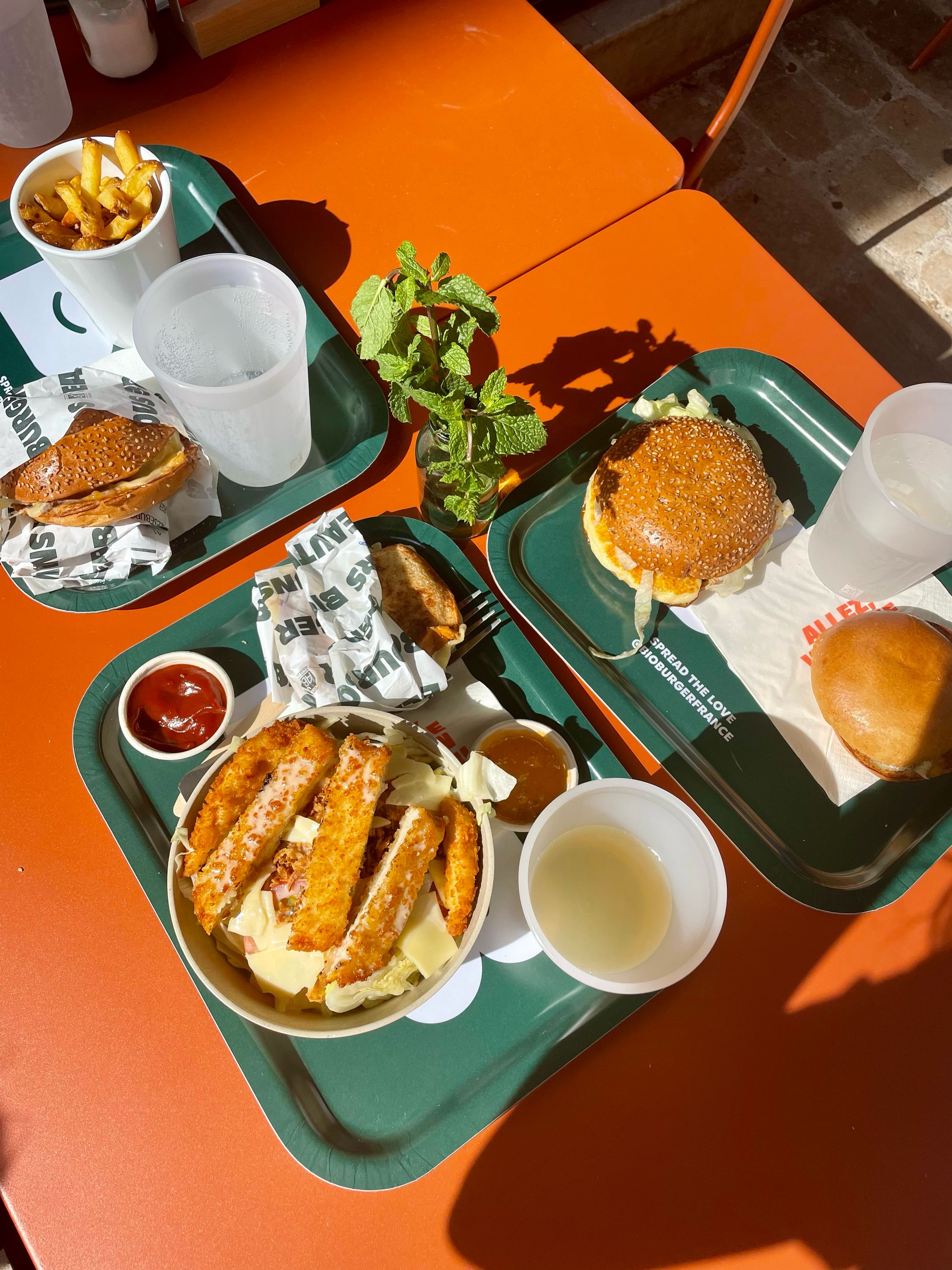Repas varié comprenant burger bio, frites, plat végétarien et boisson.